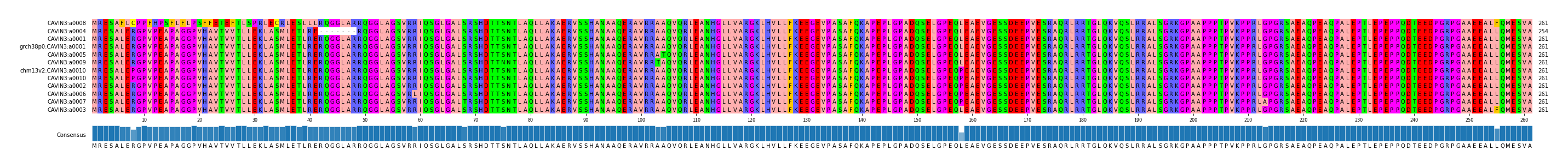 Multiple Alignments (by translate haplotype similarity)
