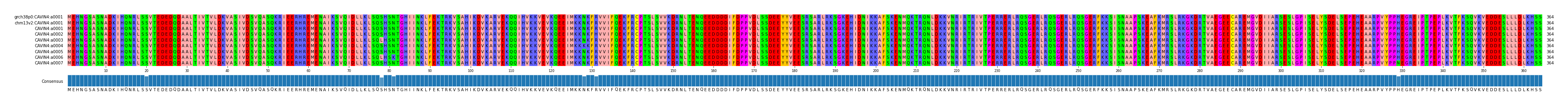Multiple Alignments (by translate haplotype frequency)