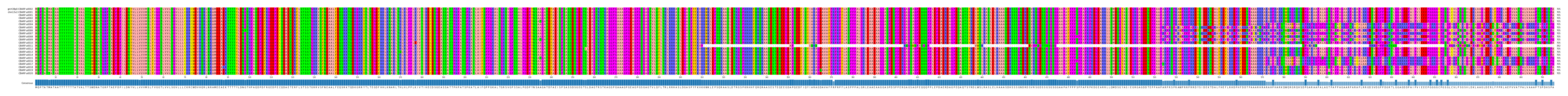 Multiple Alignments (by translate haplotype frequency)