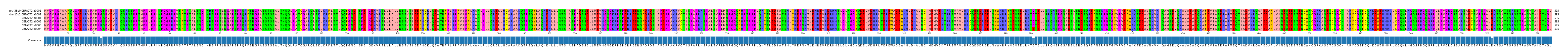 Multiple Alignments (by translate haplotype frequency)