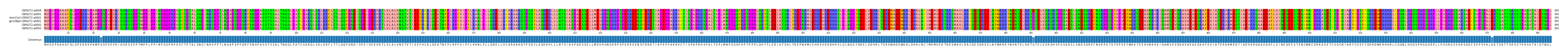 Multiple Alignments (by translate haplotype similarity)