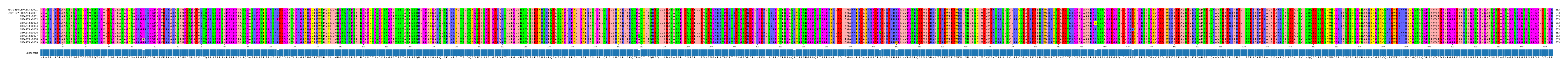 Multiple Alignments (by translate haplotype frequency)