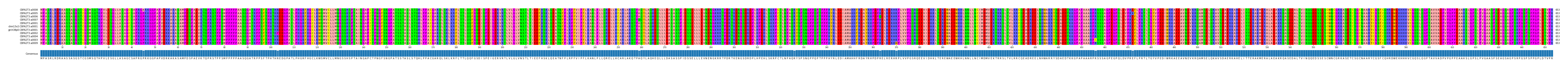 Multiple Alignments (by translate haplotype similarity)