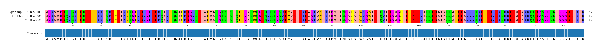 Multiple Alignments (by translate haplotype similarity)