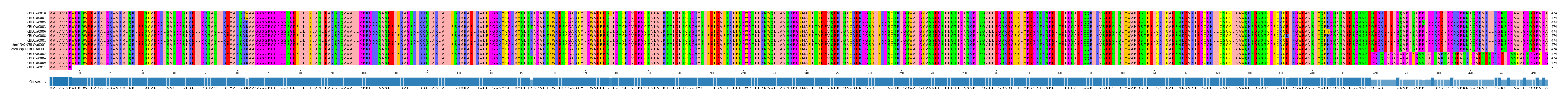 Multiple Alignments (by translate haplotype similarity)