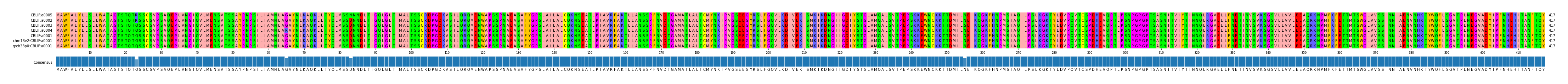 Multiple Alignments (by translate haplotype similarity)