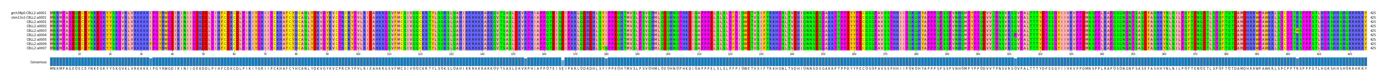 Multiple Alignments (by translate haplotype frequency)