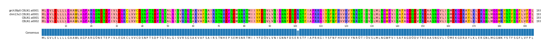 Multiple Alignments (by translate haplotype frequency)