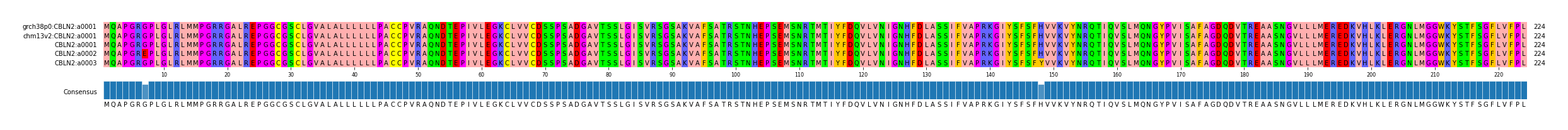 Multiple Alignments (by translate haplotype frequency)