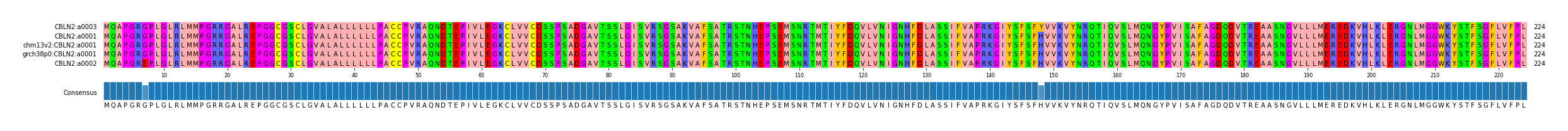 Multiple Alignments (by translate haplotype similarity)