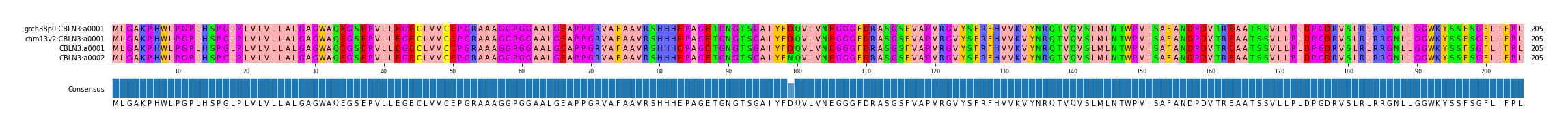 Multiple Alignments (by translate haplotype similarity)