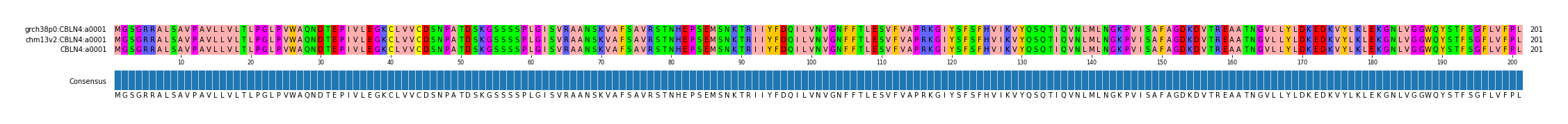 Multiple Alignments (by translate haplotype similarity)