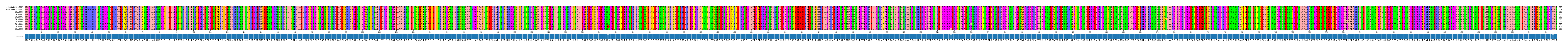 Multiple Alignments (by translate haplotype frequency)