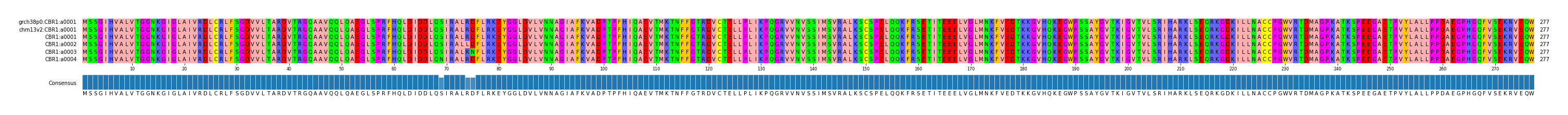 Multiple Alignments (by translate haplotype frequency)