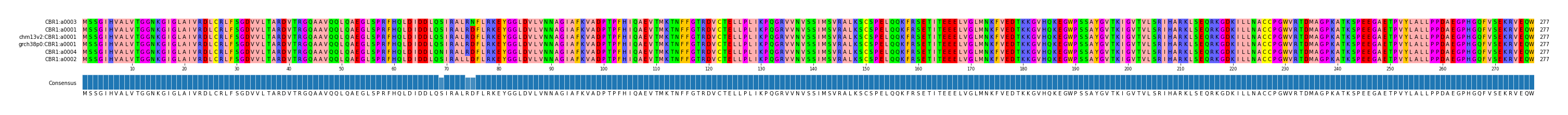 Multiple Alignments (by translate haplotype similarity)