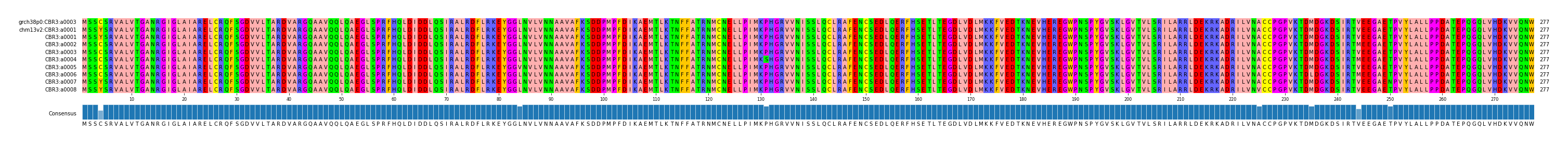 Multiple Alignments (by translate haplotype frequency)