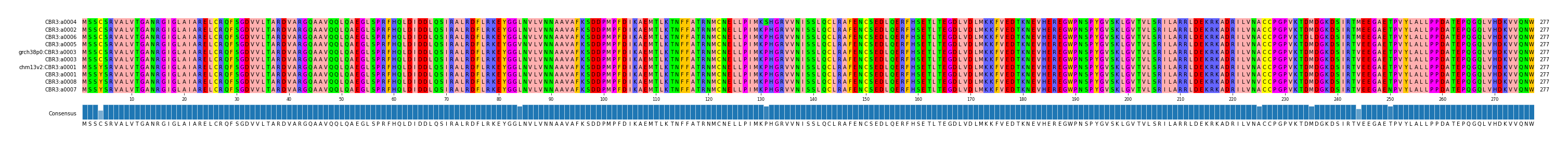 Multiple Alignments (by translate haplotype similarity)