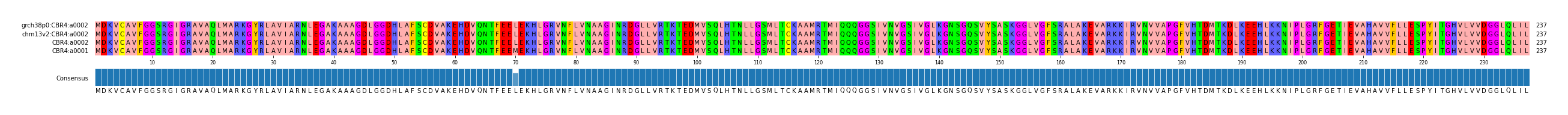 Multiple Alignments (by translate haplotype similarity)
