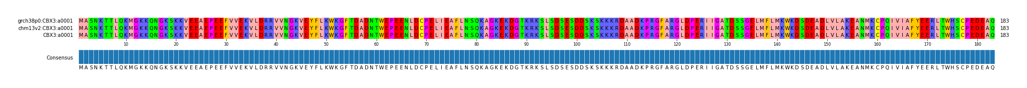 Multiple Alignments (by translate haplotype similarity)