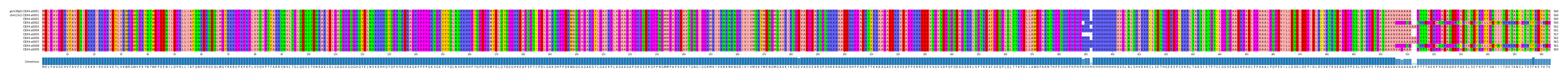 Multiple Alignments (by translate haplotype frequency)