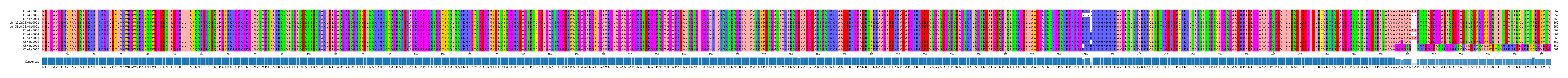 Multiple Alignments (by translate haplotype similarity)