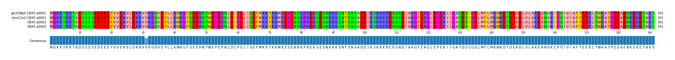 Multiple Alignments (by translate haplotype similarity)