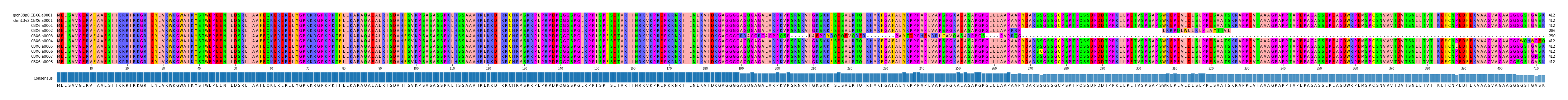 Multiple Alignments (by translate haplotype frequency)