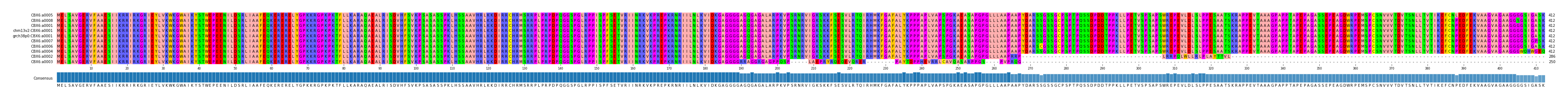 Multiple Alignments (by translate haplotype similarity)