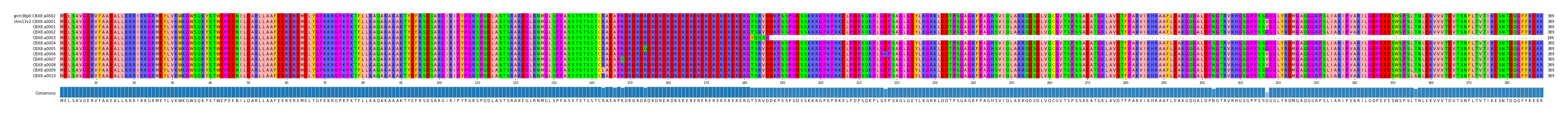 Multiple Alignments (by translate haplotype frequency)