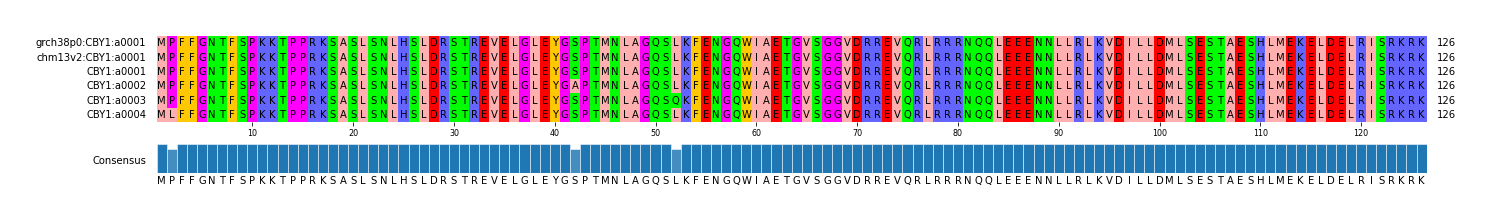Multiple Alignments (by translate haplotype frequency)
