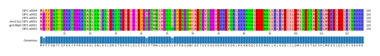 Multiple Alignments (by translate haplotype similarity)