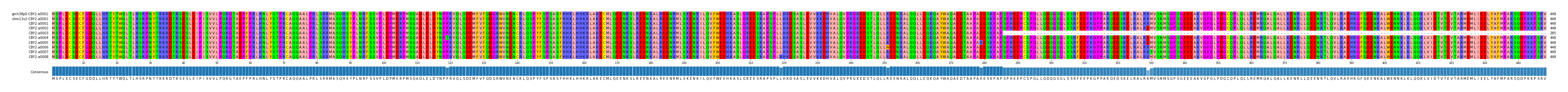 Multiple Alignments (by translate haplotype frequency)