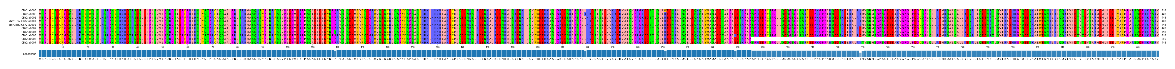 Multiple Alignments (by translate haplotype similarity)