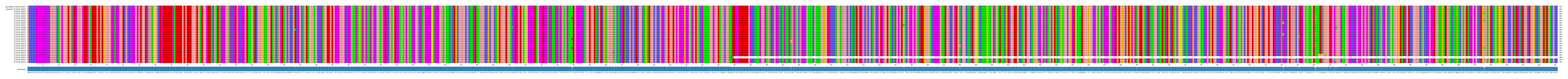Multiple Alignments (by translate haplotype frequency)