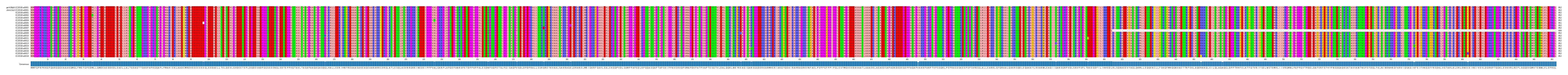 Multiple Alignments (by translate haplotype frequency)