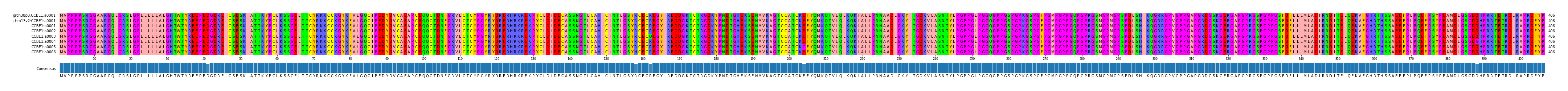Multiple Alignments (by translate haplotype frequency)