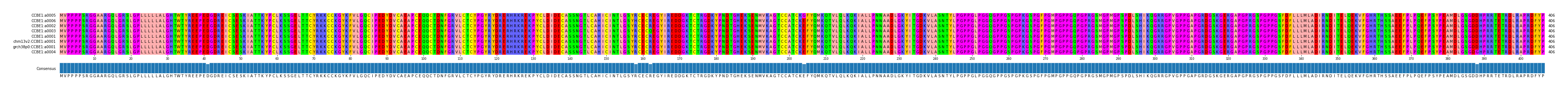 Multiple Alignments (by translate haplotype similarity)
