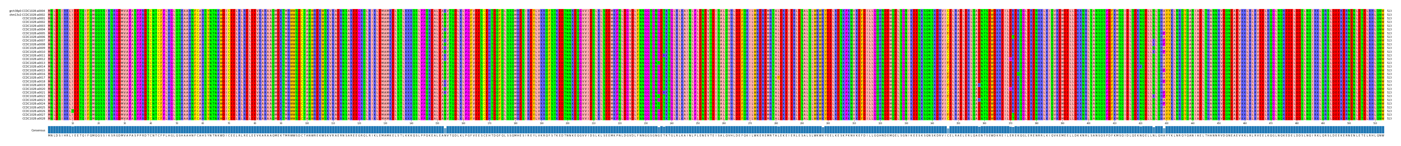 Multiple Alignments (by translate haplotype frequency)
