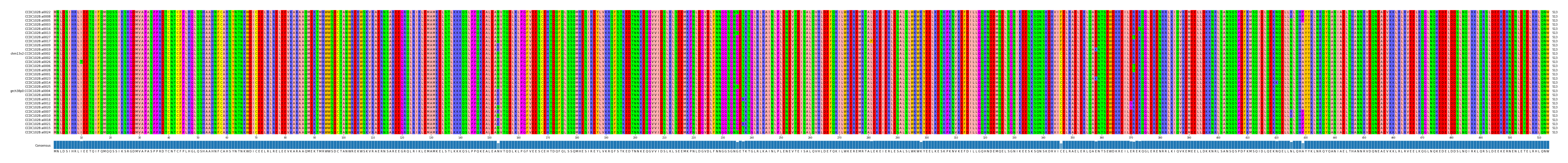 Multiple Alignments (by translate haplotype similarity)