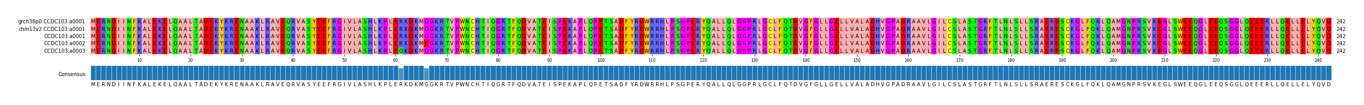 Multiple Alignments (by translate haplotype frequency)