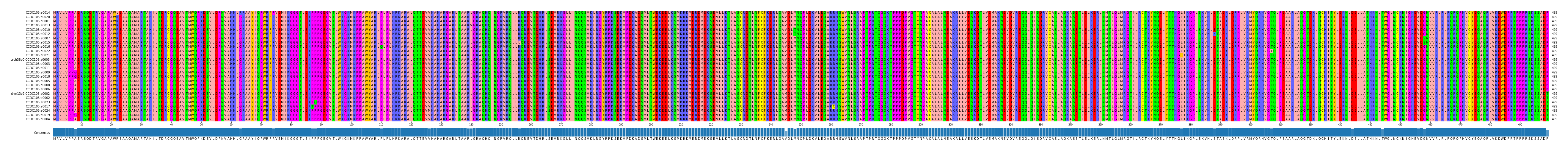 Multiple Alignments (by translate haplotype similarity)