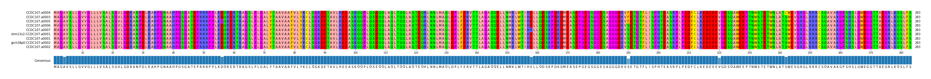 Multiple Alignments (by translate haplotype similarity)