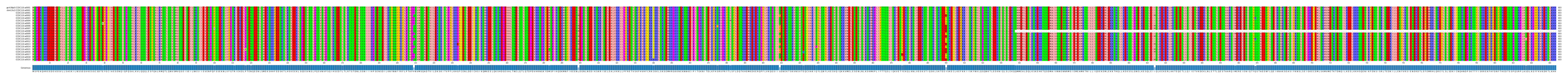 Multiple Alignments (by translate haplotype frequency)