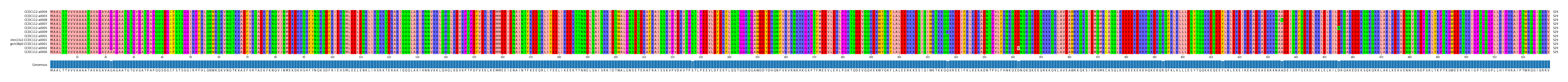 Multiple Alignments (by translate haplotype similarity)