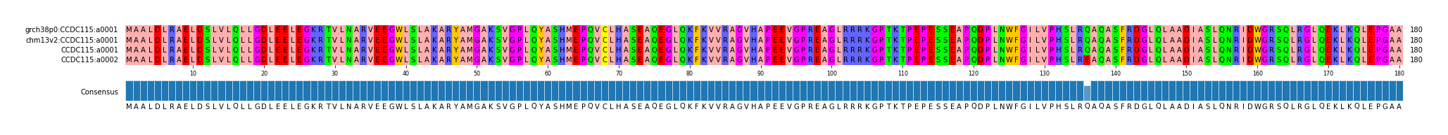 Multiple Alignments (by translate haplotype similarity)