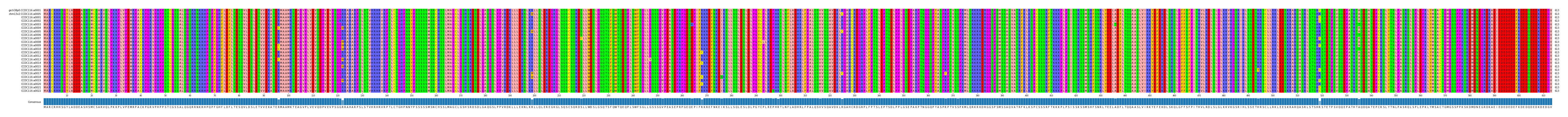 Multiple Alignments (by translate haplotype frequency)