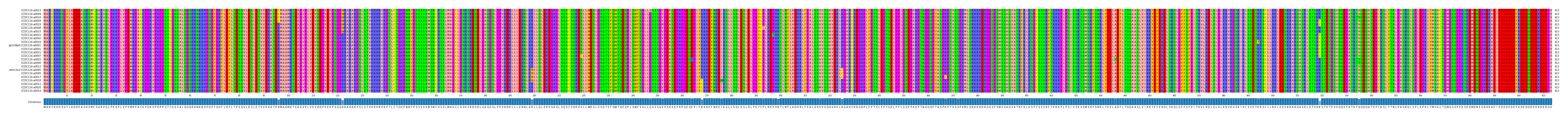 Multiple Alignments (by translate haplotype similarity)