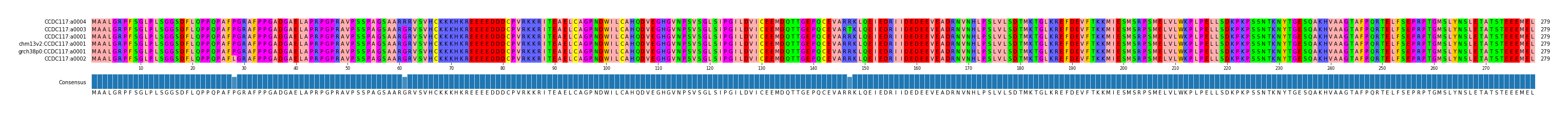 Multiple Alignments (by translate haplotype similarity)
