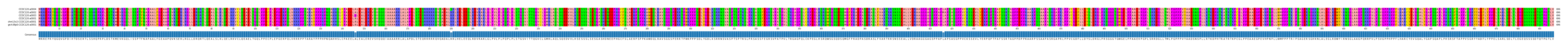 Multiple Alignments (by translate haplotype similarity)