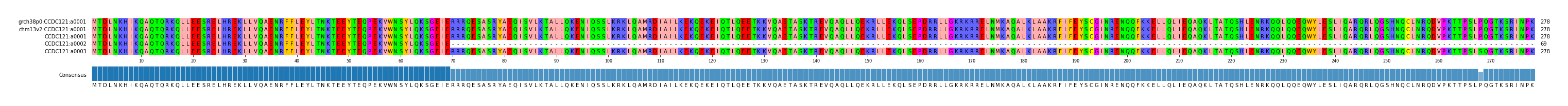 Multiple Alignments (by translate haplotype similarity)